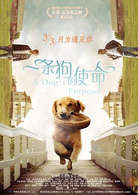 v与子敌伦刺激对白播放
