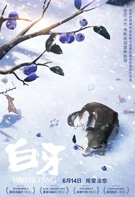 小妈妈:Shijoka反击