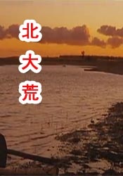 舒淇玉女心经电视剧高清免费观看全集
