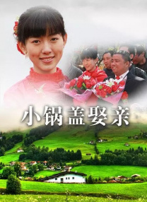 瘦子探花