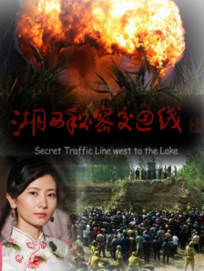 午夜在线观看一级